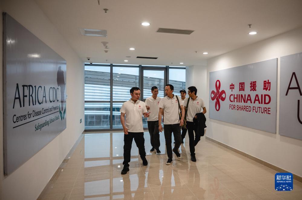 维多利亚vic115